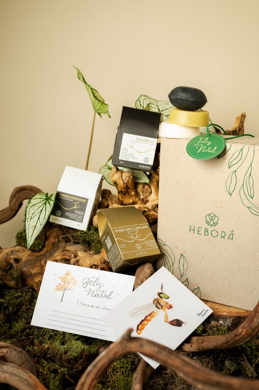 KIT BÁSICO DE NATAL PARA CABELOS