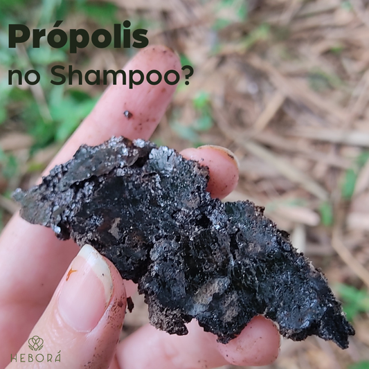 Shampoo em Barra com Própolis: isso funciona?